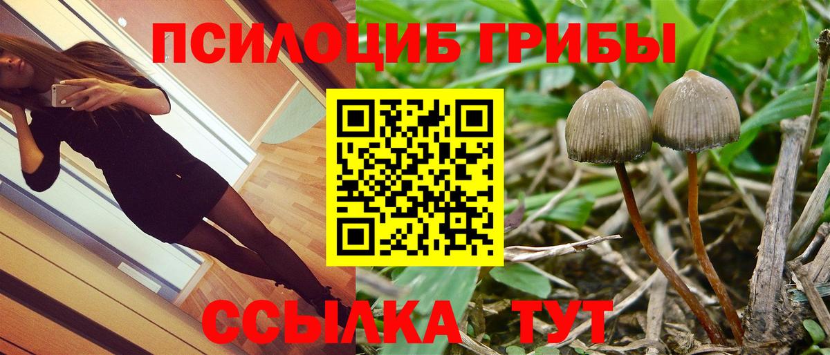 Галлюциногенные грибы Cubensis  Вход с VPN  Сегежа  Псилоцибиновые грибы GOLDEN TEACHER 