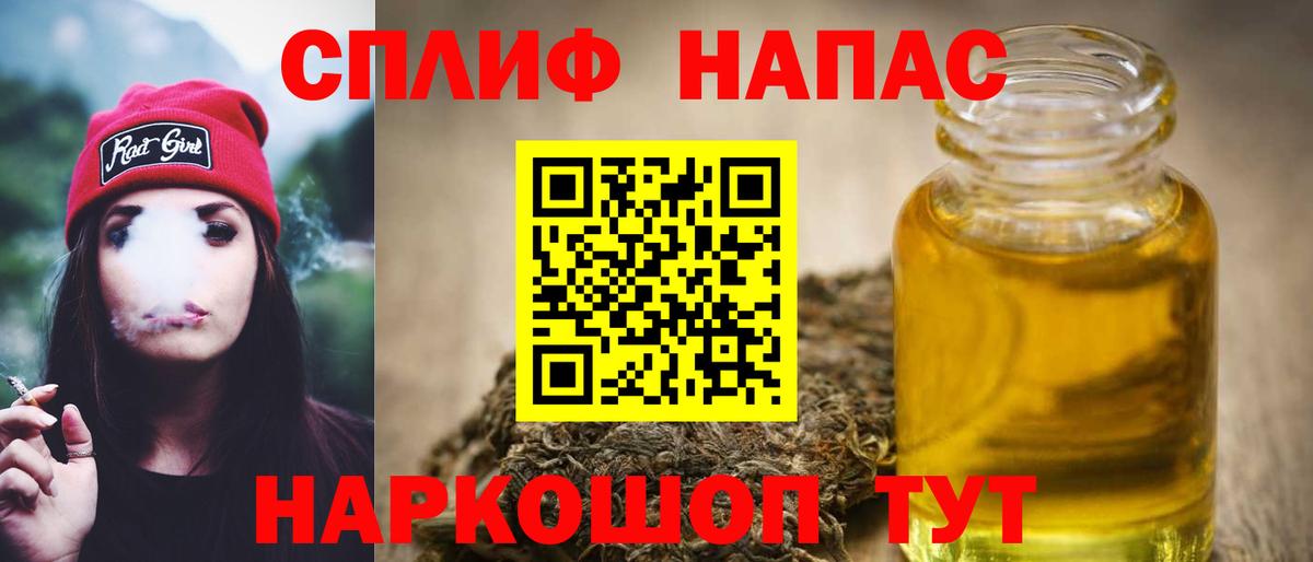 Канабис сатива Сегежа